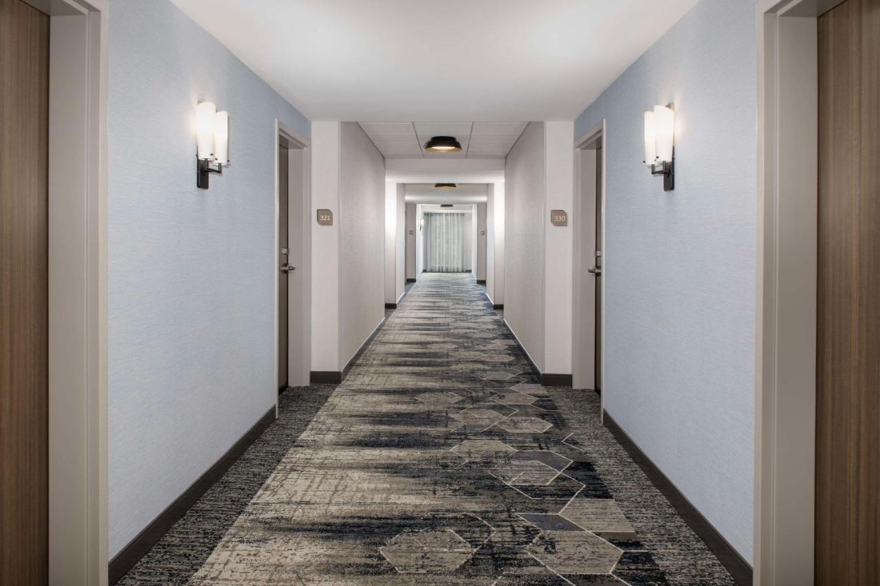 Hilton Garden Inn Pensacola Downtown מראה חיצוני תמונה